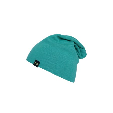 DS beanie mint